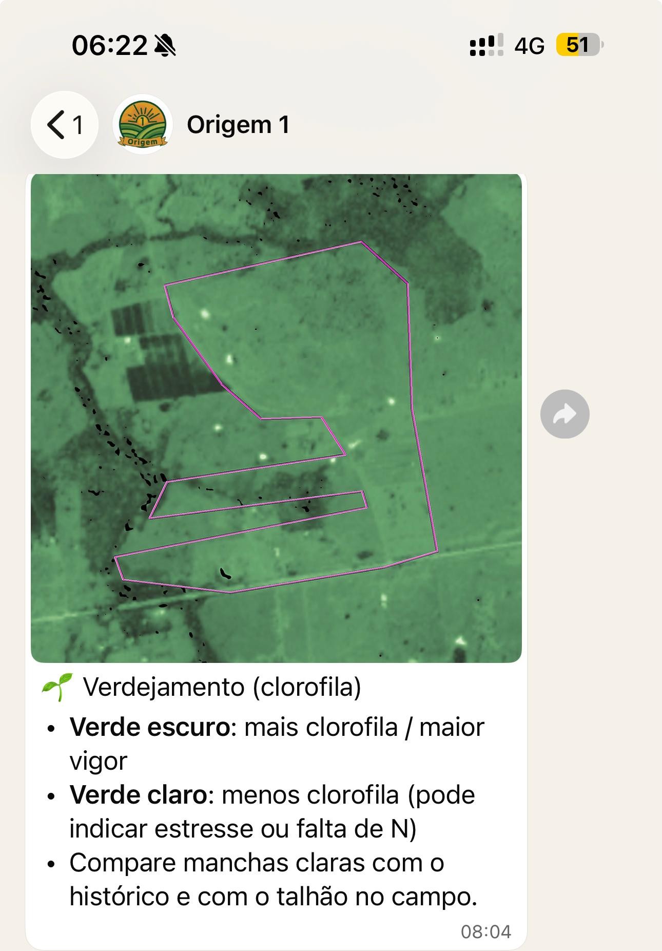 Exemplo real da camada de clorofila em uma área monitorada