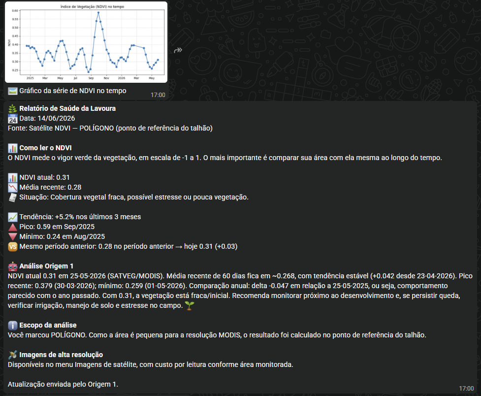 Exemplo de relatório SATVEG com gráfico NDVI dos últimos meses